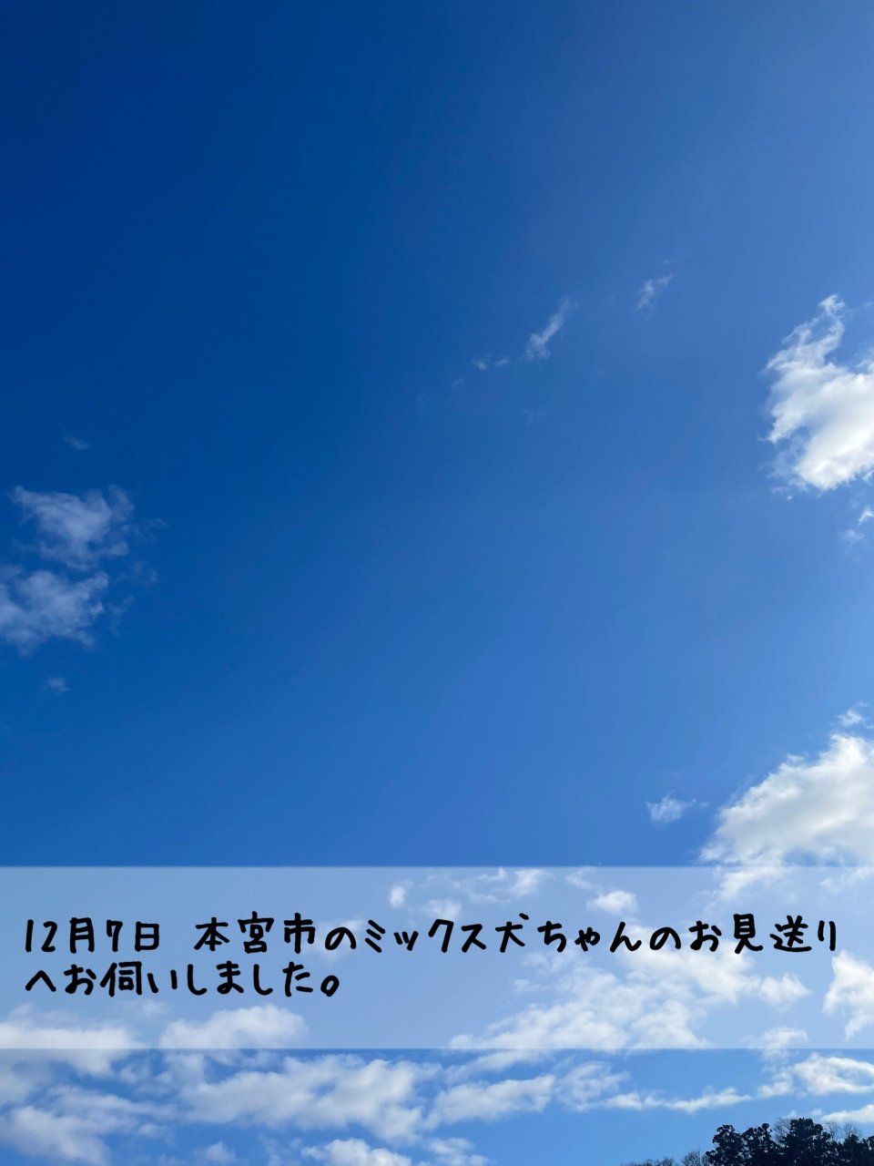 ペット訪問火葬 一縁(いちえん) | 福島市・葬儀・出張・供養