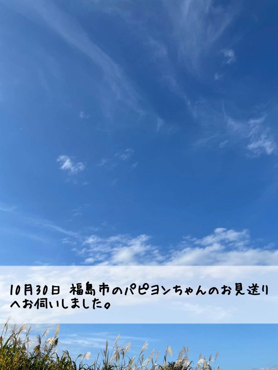 ペット訪問火葬 一縁(いちえん) | 福島市・葬儀・出張・供養