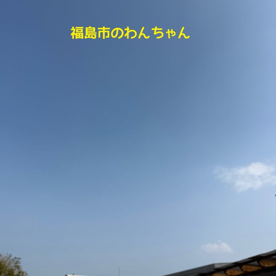 ペット訪問火葬 一縁(いちえん) | 福島市・葬儀・出張・供養