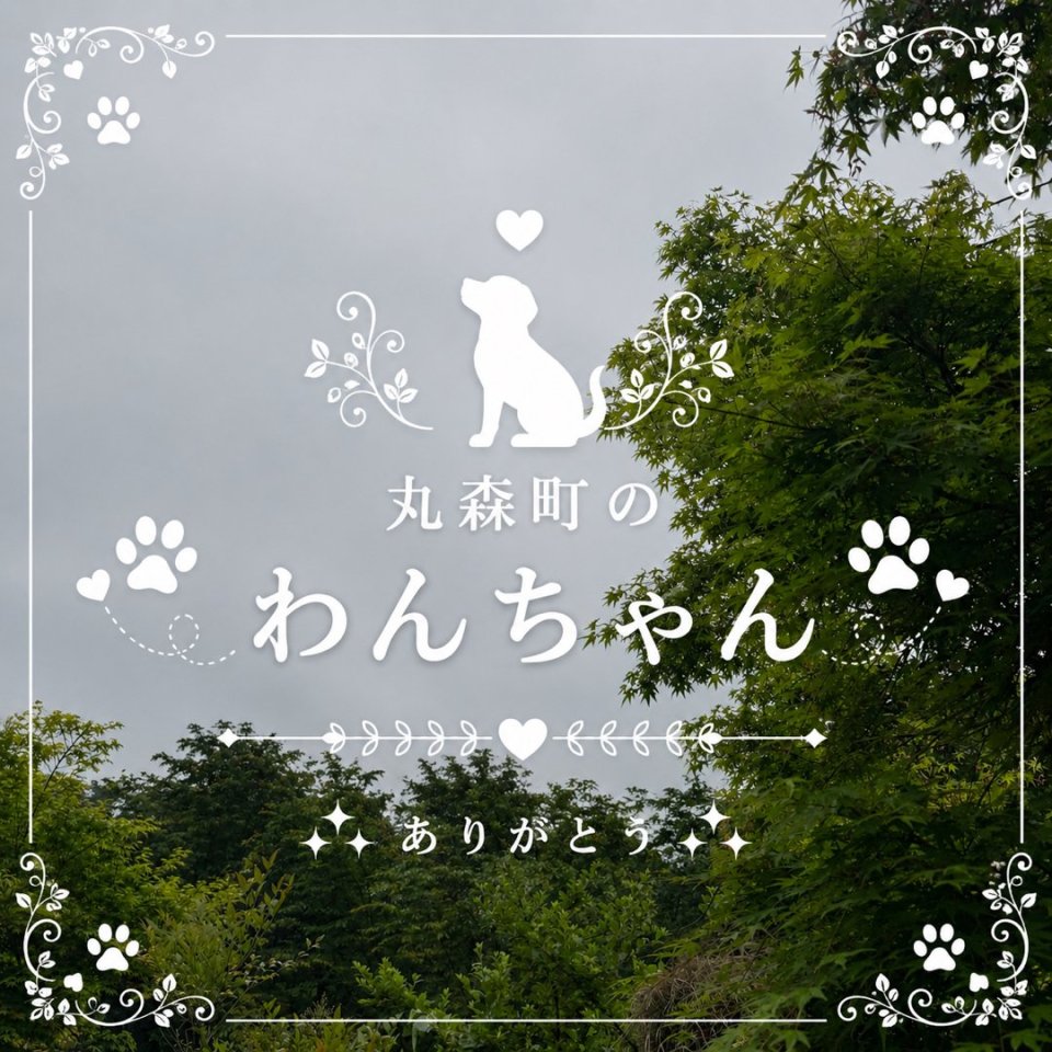 福島ペット訪問火葬 一縁(いちえん) | 葬儀・出張・供養