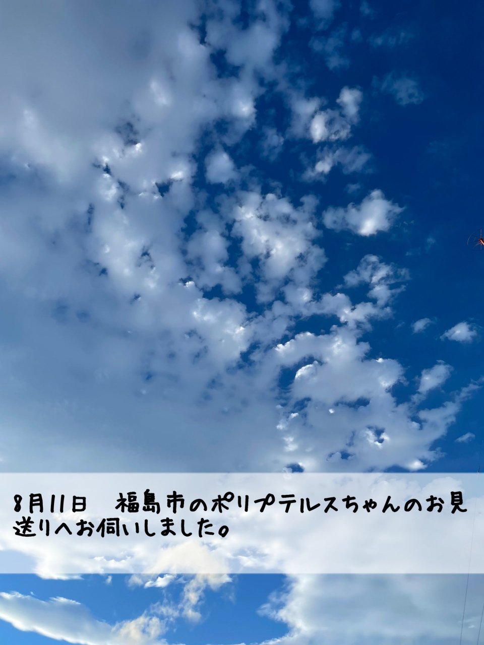 ペット訪問火葬 一縁(いちえん) | 福島市・葬儀・出張・供養