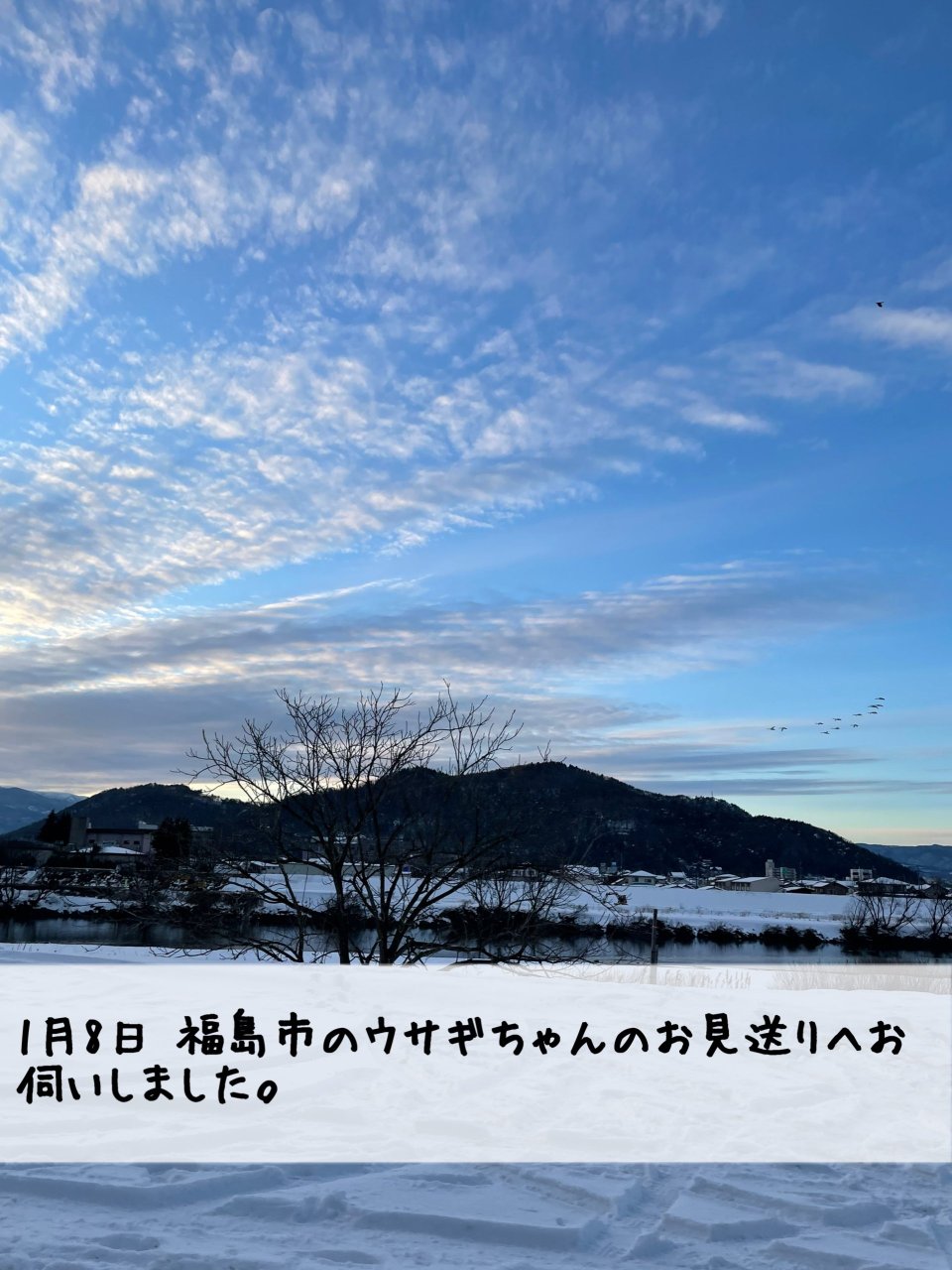 ペット訪問火葬 一縁(いちえん) | 福島市・葬儀・出張・供養