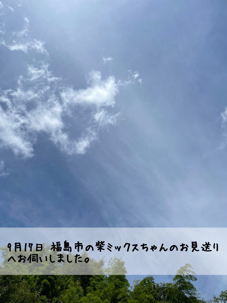 ペット訪問火葬 一縁(いちえん) | 福島市・葬儀・出張・供養