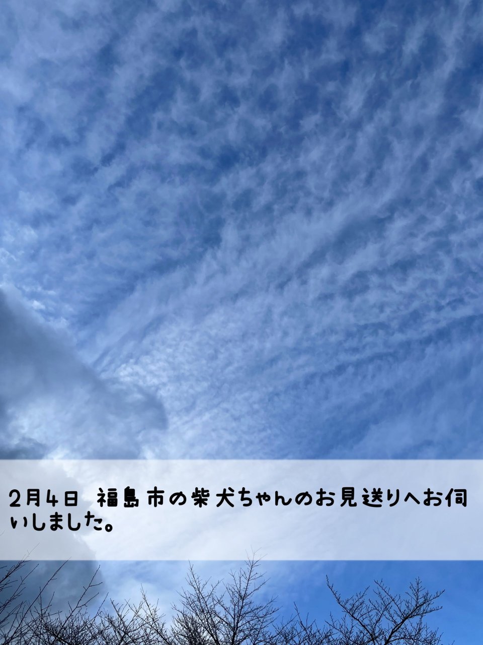 ペット訪問火葬 一縁(いちえん) | 福島市・葬儀・出張・供養