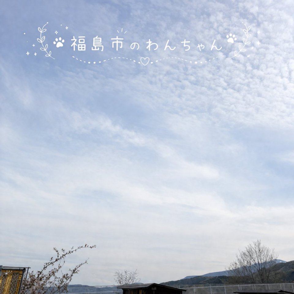 福島ペット訪問火葬 一縁(いちえん) | 葬儀・出張・供養