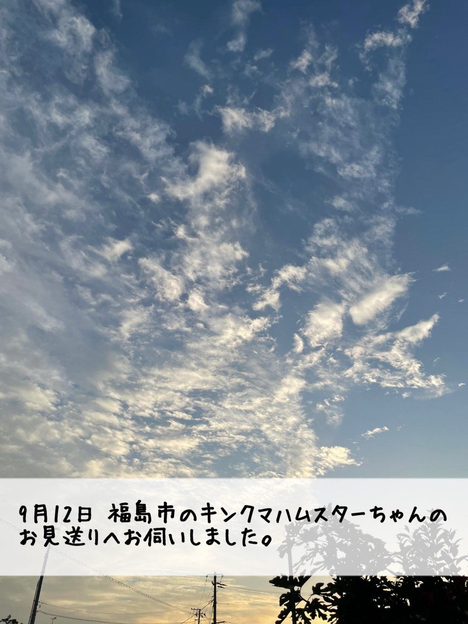 ペット訪問火葬 一縁(いちえん) | 福島市・葬儀・出張・供養