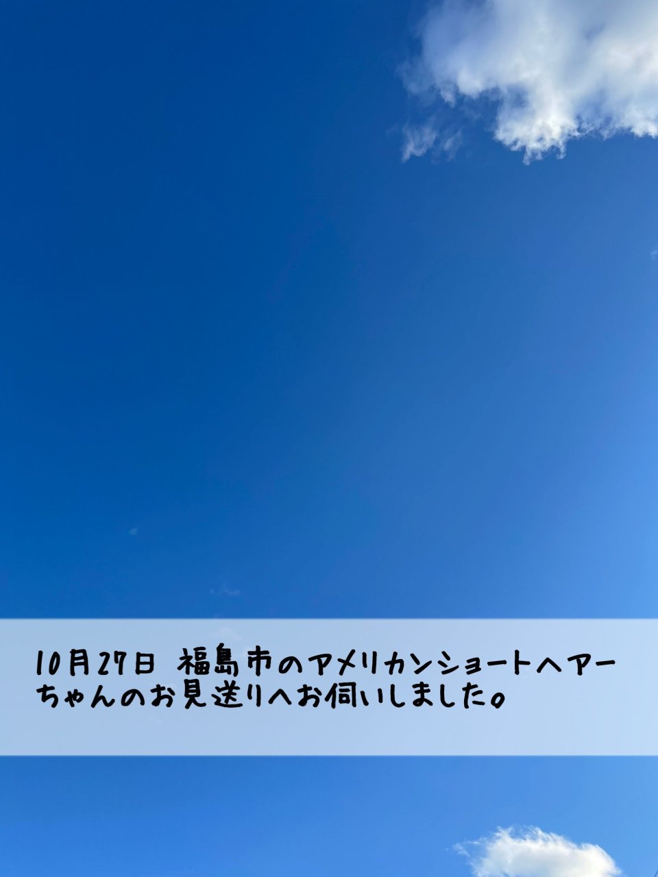 ペット訪問火葬 一縁(いちえん) | 福島市・葬儀・出張・供養