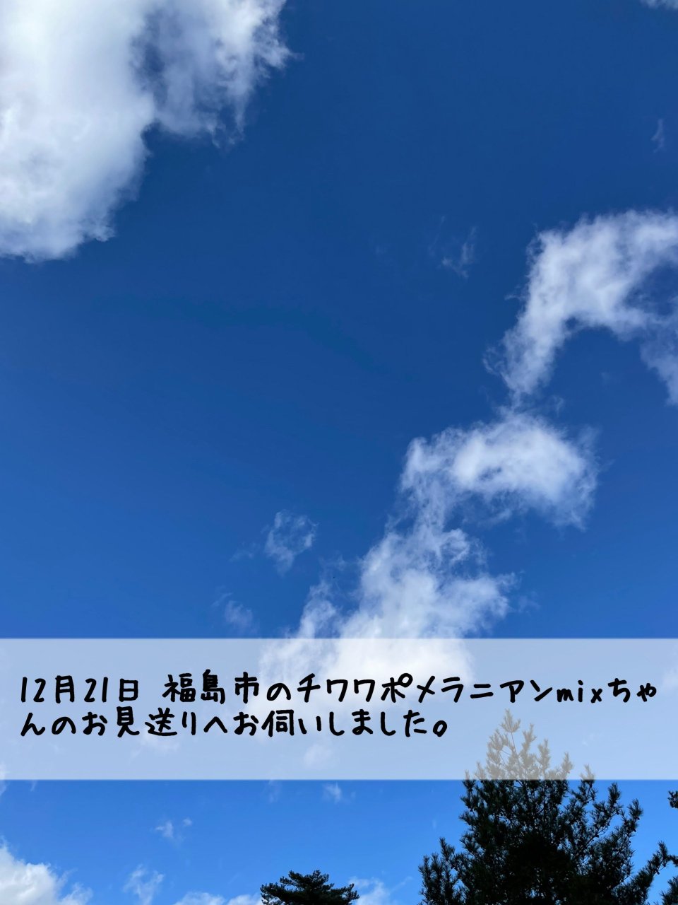 ペット訪問火葬 一縁(いちえん) | 福島市・葬儀・出張・供養
