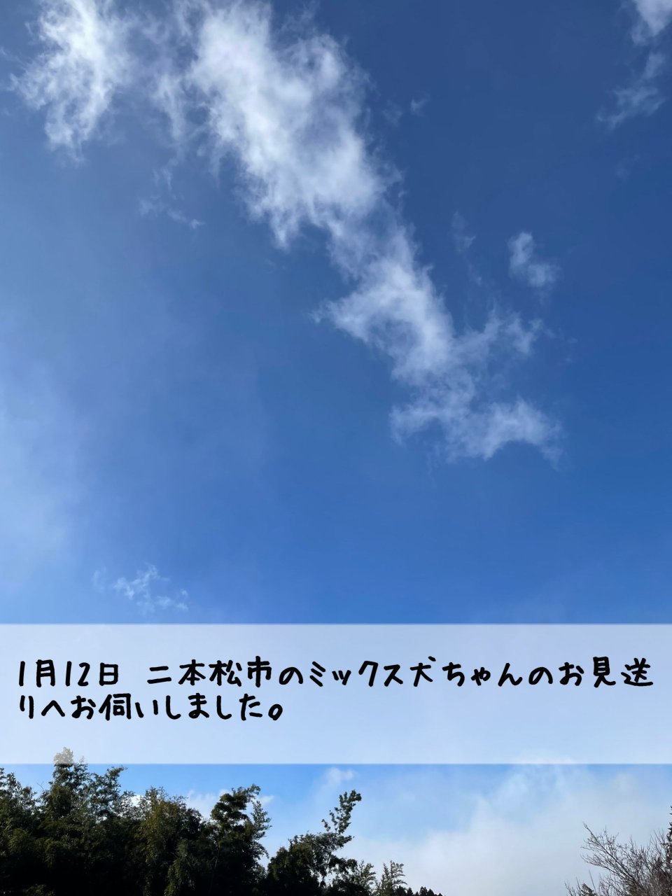 ペット訪問火葬 一縁(いちえん) | 福島市・葬儀・出張・供養