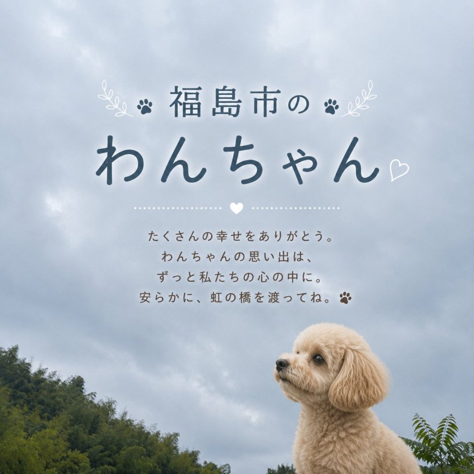 福島ペット訪問火葬 一縁(いちえん) | 葬儀・出張・供養