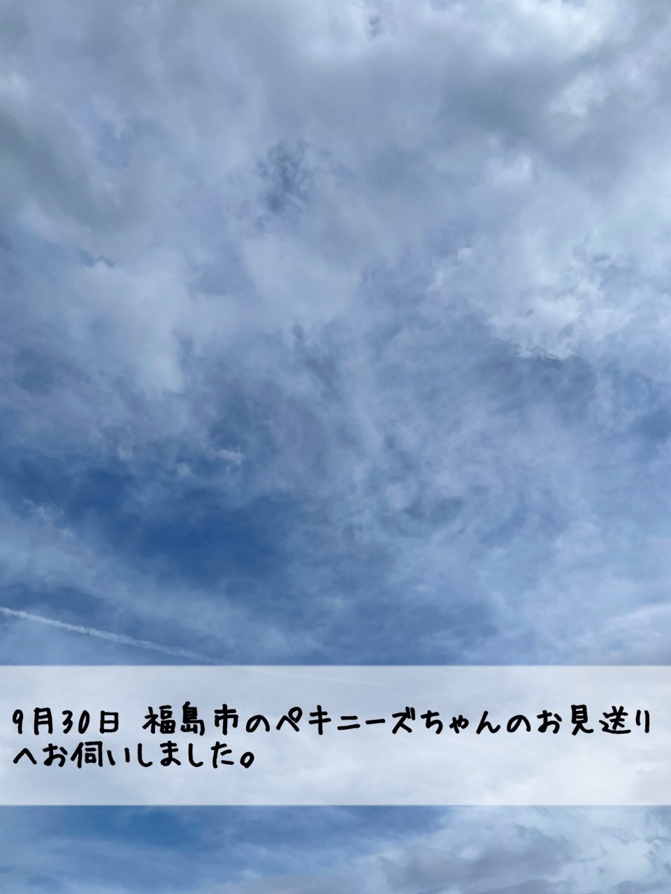 ペット訪問火葬 一縁(いちえん) | 福島市・葬儀・出張・供養