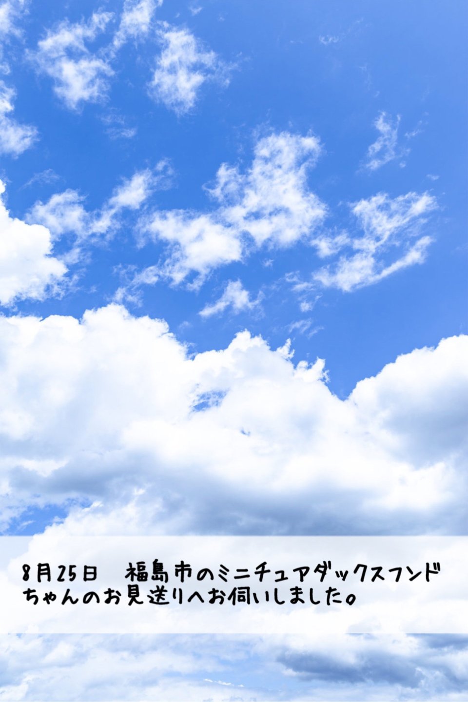 ペット訪問火葬 一縁(いちえん) | 福島市・葬儀・出張・供養