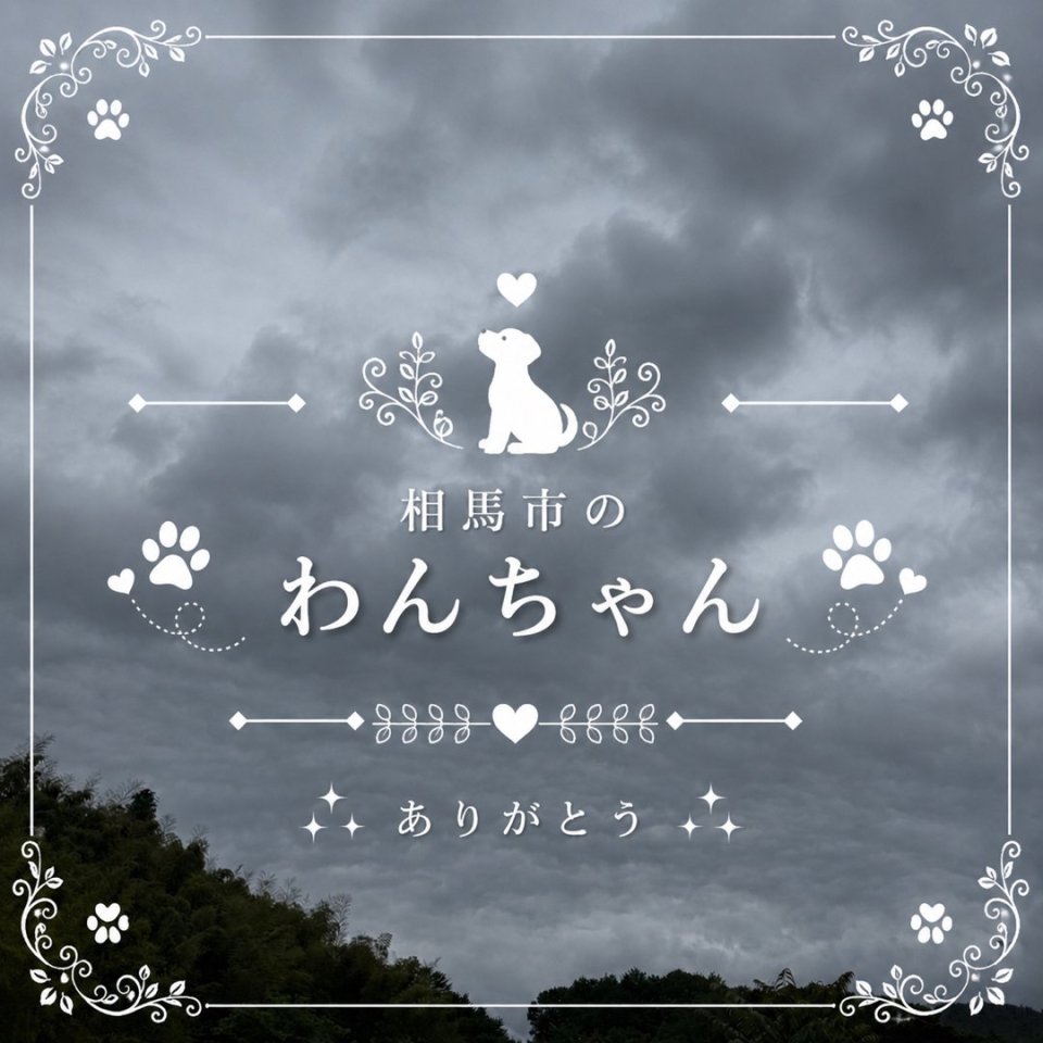 福島ペット訪問火葬 一縁(いちえん) | 葬儀・出張・供養