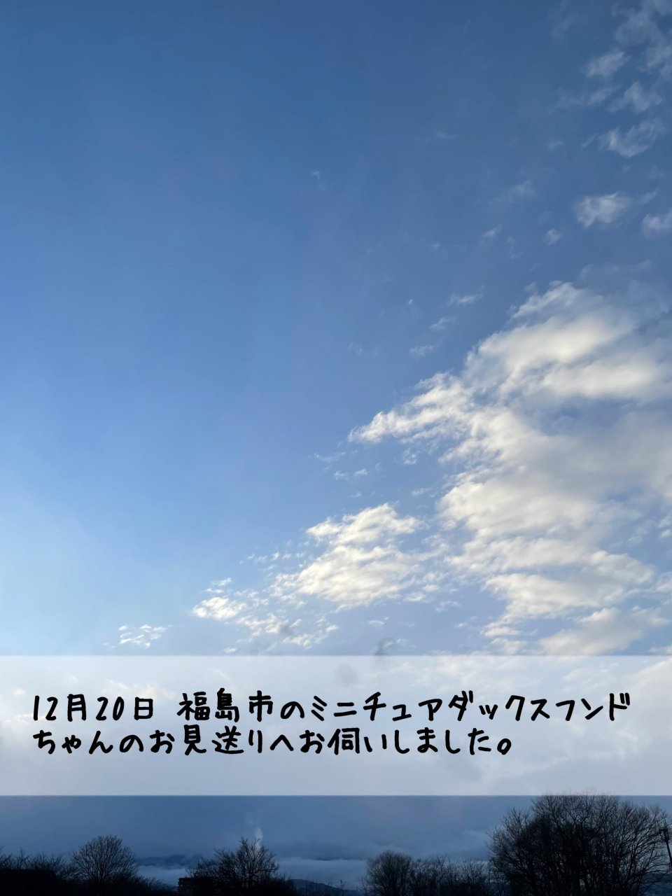 ペット訪問火葬 一縁(いちえん) | 福島市・葬儀・出張・供養