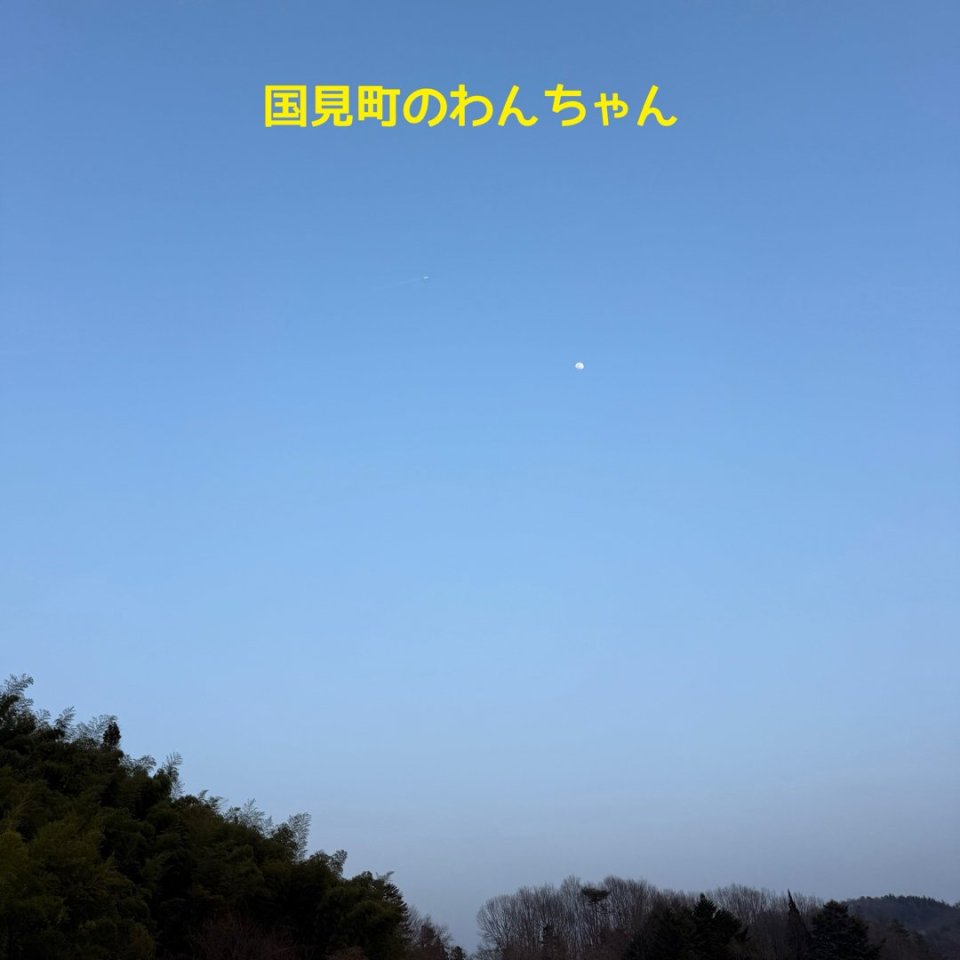 ペット訪問火葬 一縁(いちえん) | 福島市・葬儀・出張・供養