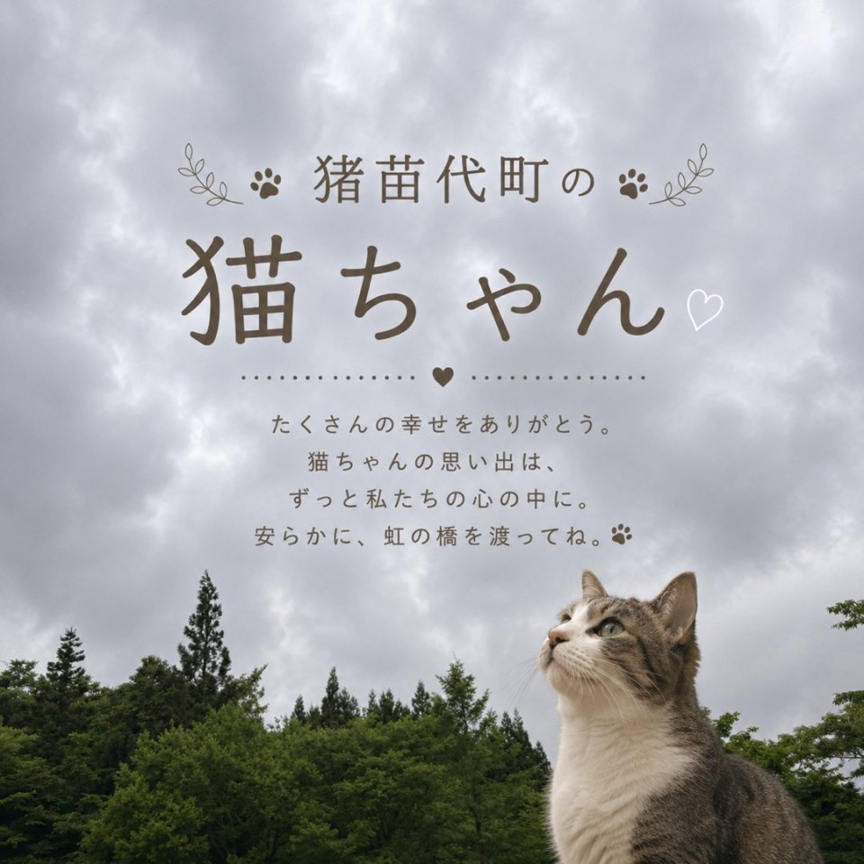 福島ペット訪問火葬 一縁(いちえん) | 葬儀・出張・供養