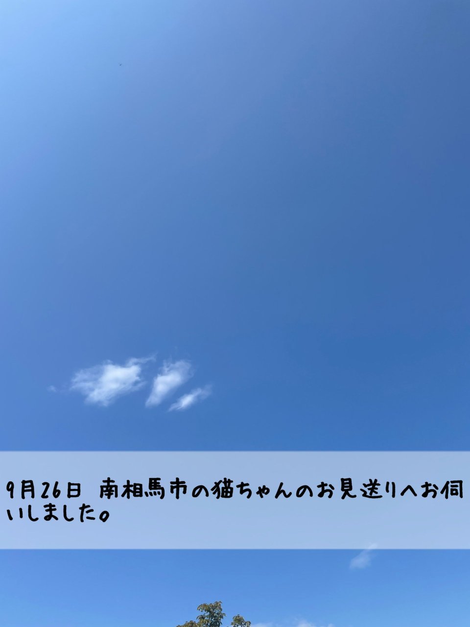 ペット訪問火葬 一縁(いちえん) | 福島市・葬儀・出張・供養