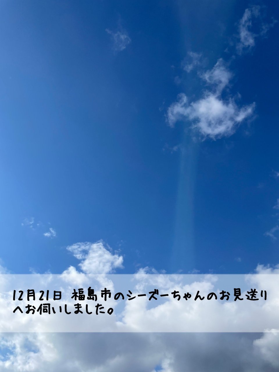 ペット訪問火葬 一縁(いちえん) | 福島市・葬儀・出張・供養