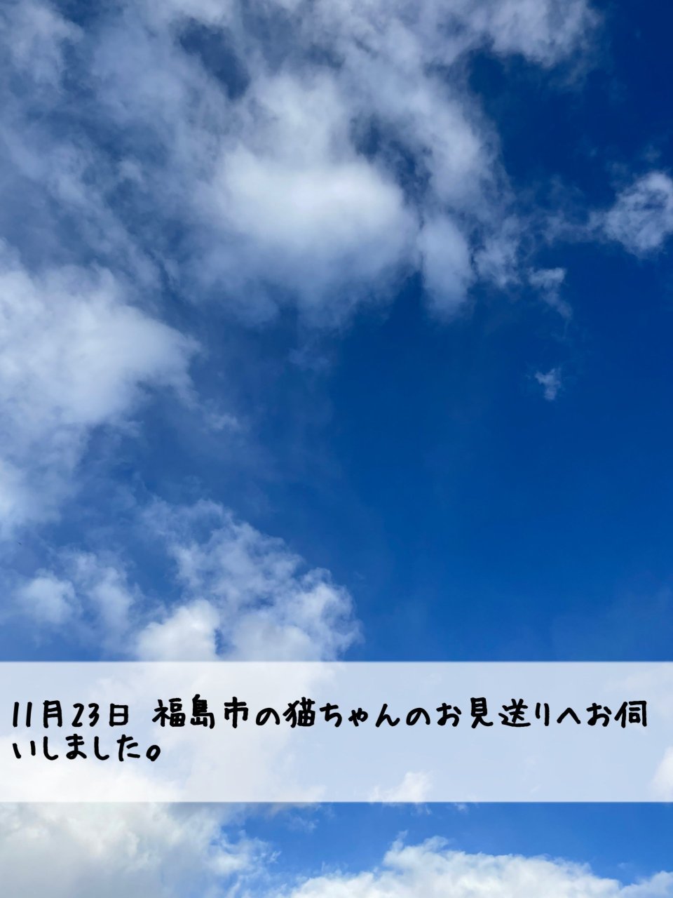 ペット訪問火葬 一縁(いちえん) | 福島市・葬儀・出張・供養