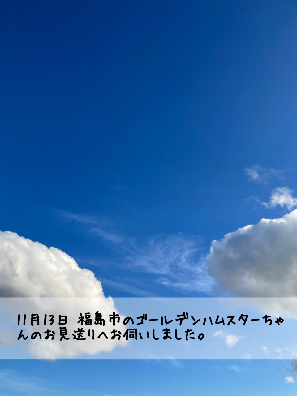 ペット訪問火葬 一縁(いちえん) | 福島市・葬儀・出張・供養