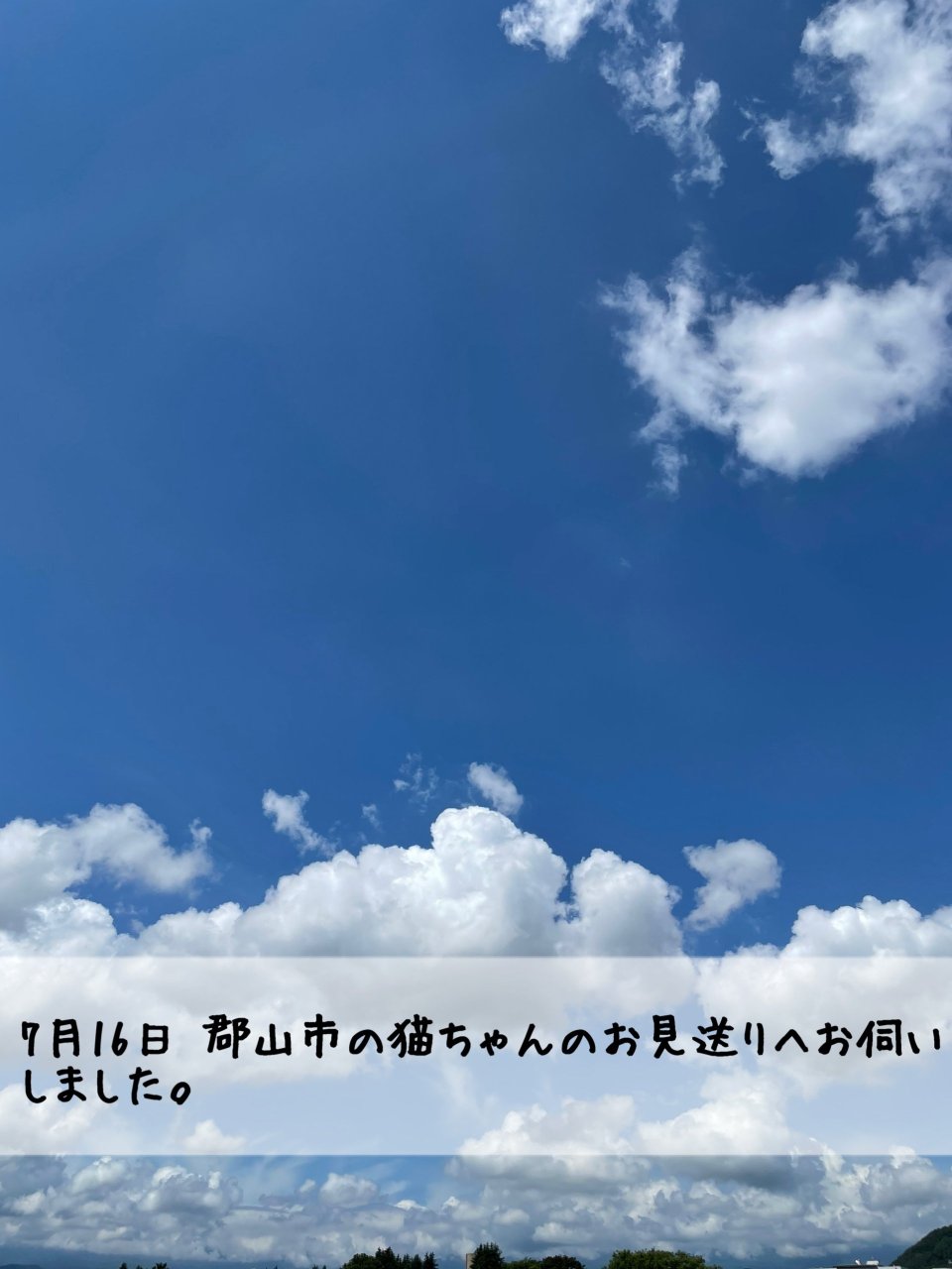 ペット訪問火葬 一縁(いちえん) | 福島市・葬儀・出張・供養