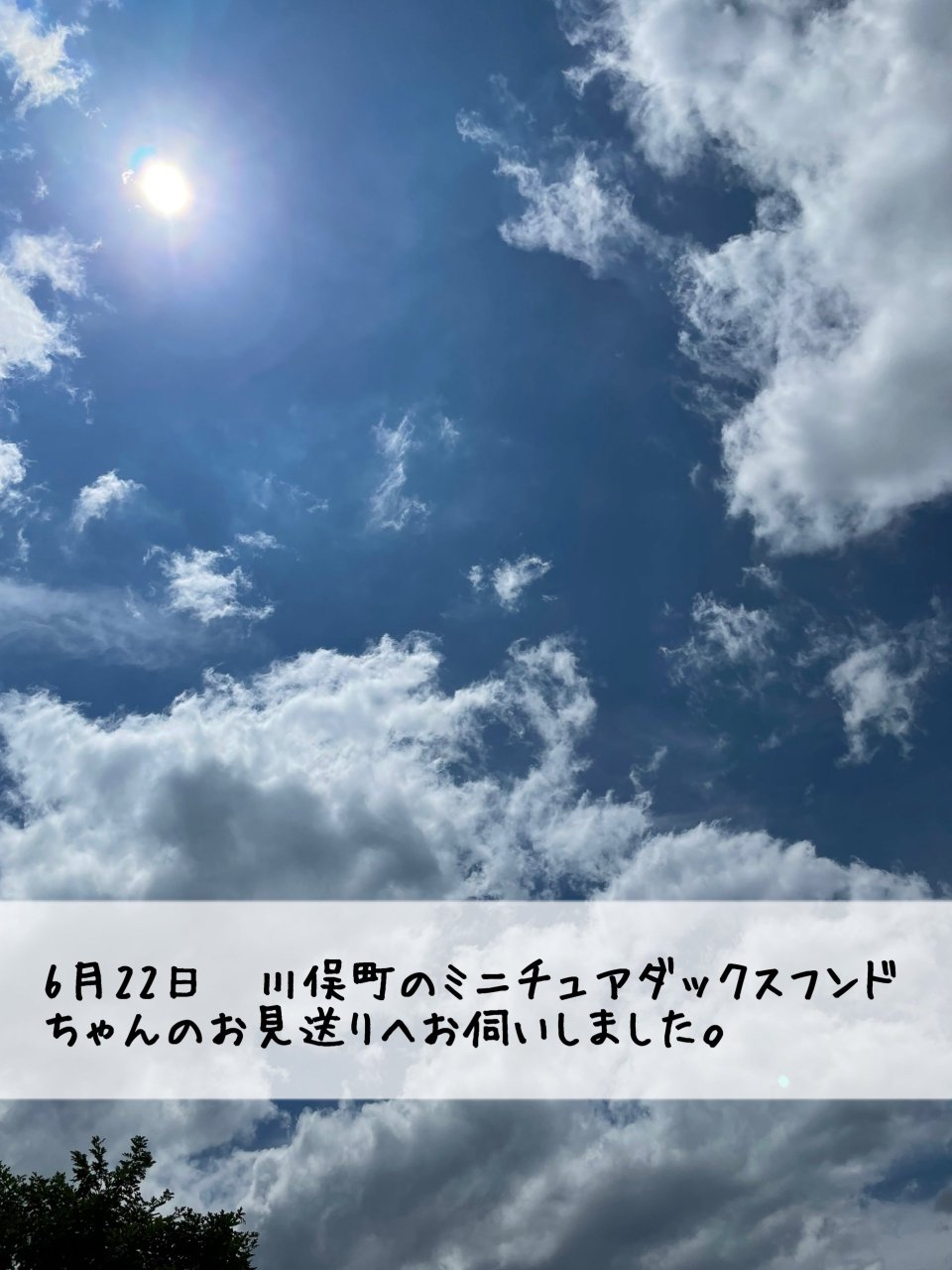 ペット訪問火葬 一縁(いちえん) | 福島市・葬儀・出張・供養
