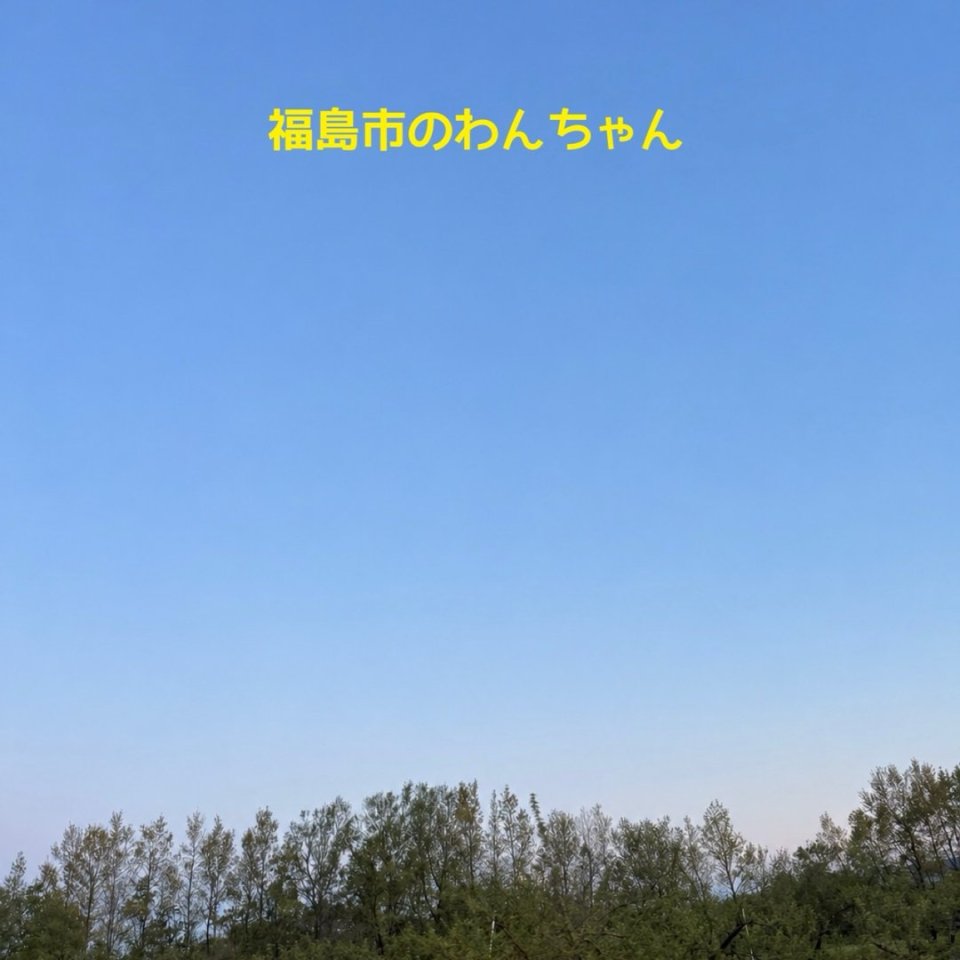 福島ペット訪問火葬 一縁(いちえん) | 葬儀・出張・供養