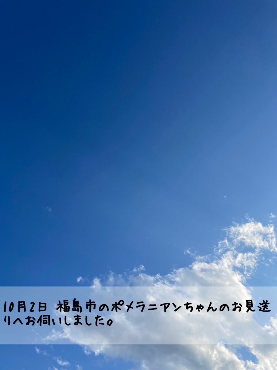 ペット訪問火葬 一縁(いちえん) | 福島市・葬儀・出張・供養