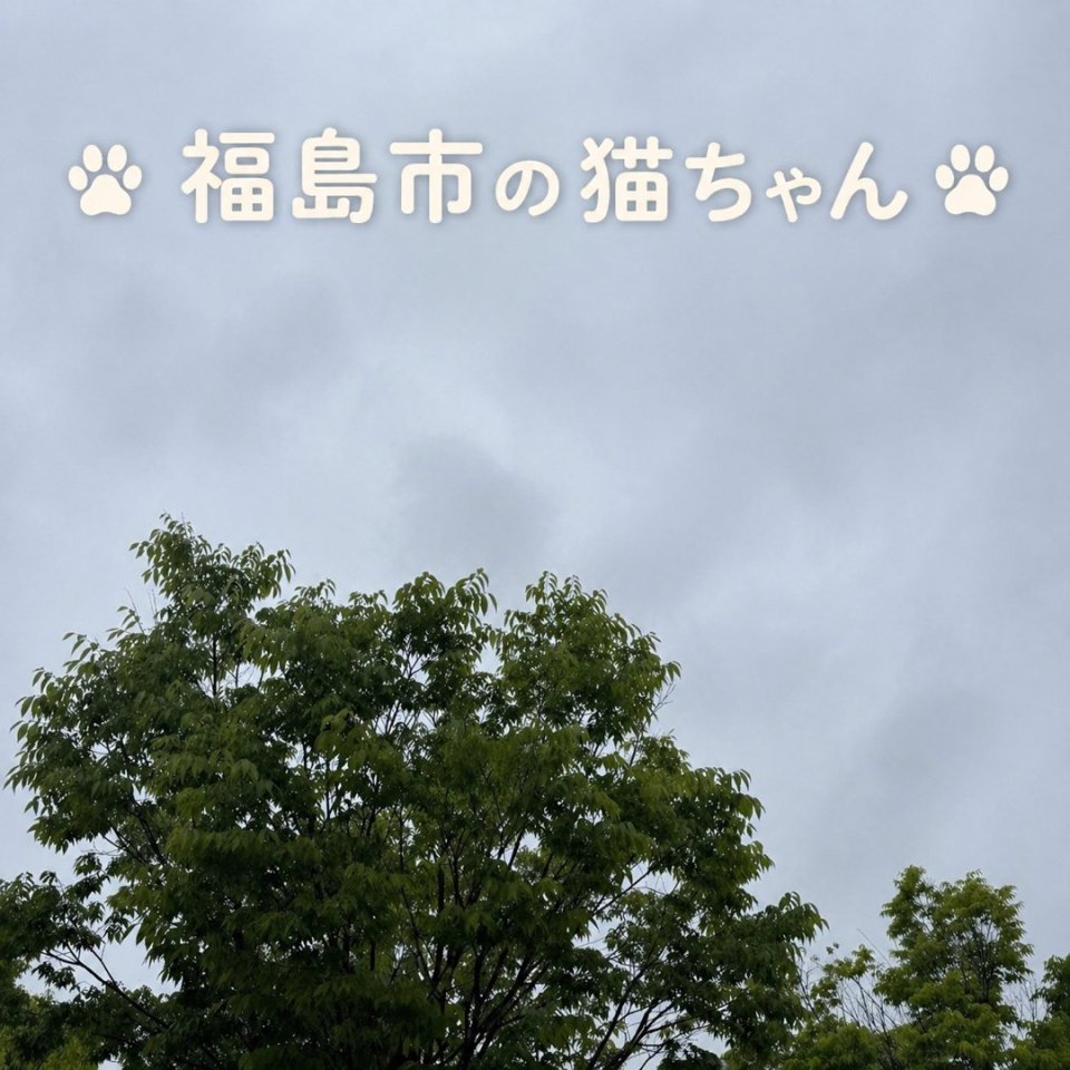 福島ペット訪問火葬 一縁(いちえん) | 葬儀・出張・供養