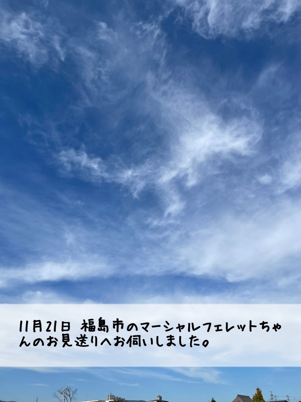 ペット訪問火葬 一縁(いちえん) | 福島市・葬儀・出張・供養