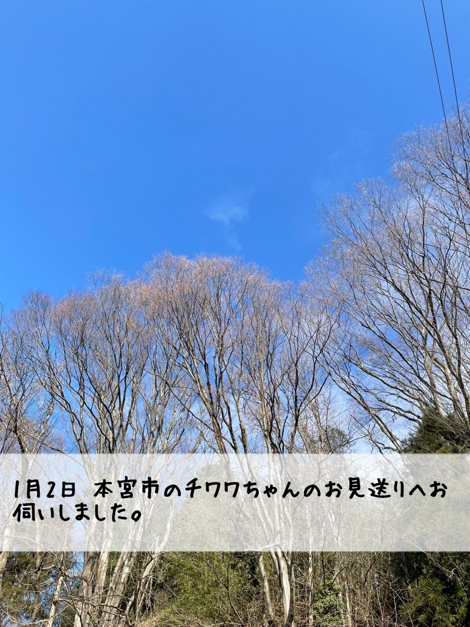 ペット訪問火葬 一縁(いちえん) | 福島市・葬儀・出張・供養