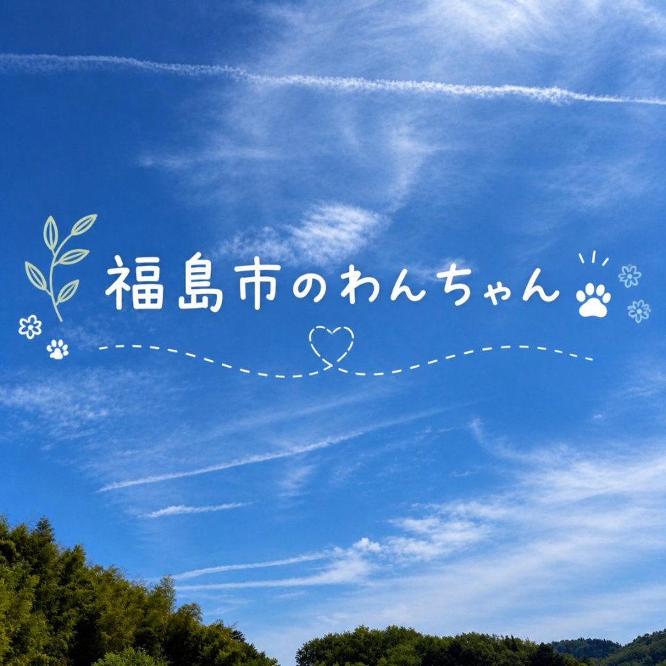 福島ペット訪問火葬 一縁(いちえん) | 葬儀・出張・供養
