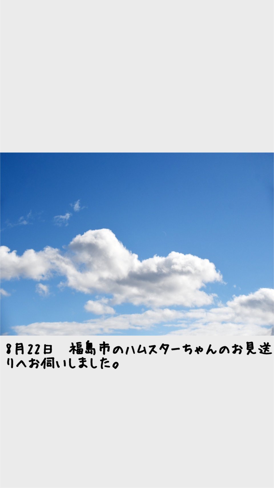 ペット訪問火葬 一縁(いちえん) | 福島市・葬儀・出張・供養
