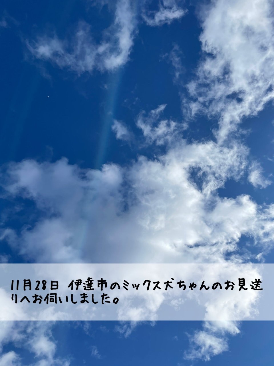ペット訪問火葬 一縁(いちえん) | 福島市・葬儀・出張・供養