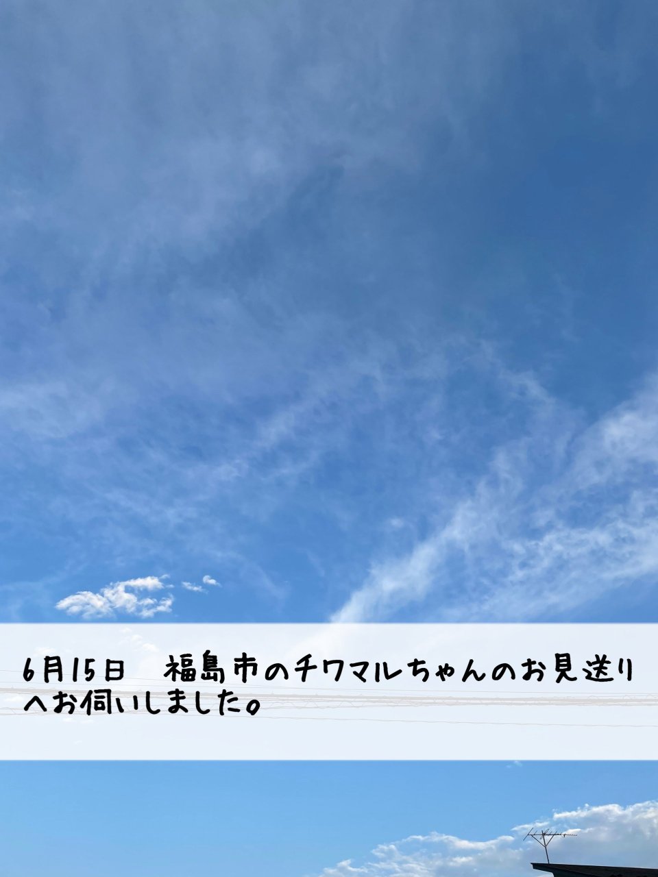 ペット訪問火葬 一縁(いちえん) | 福島市・葬儀・出張・供養