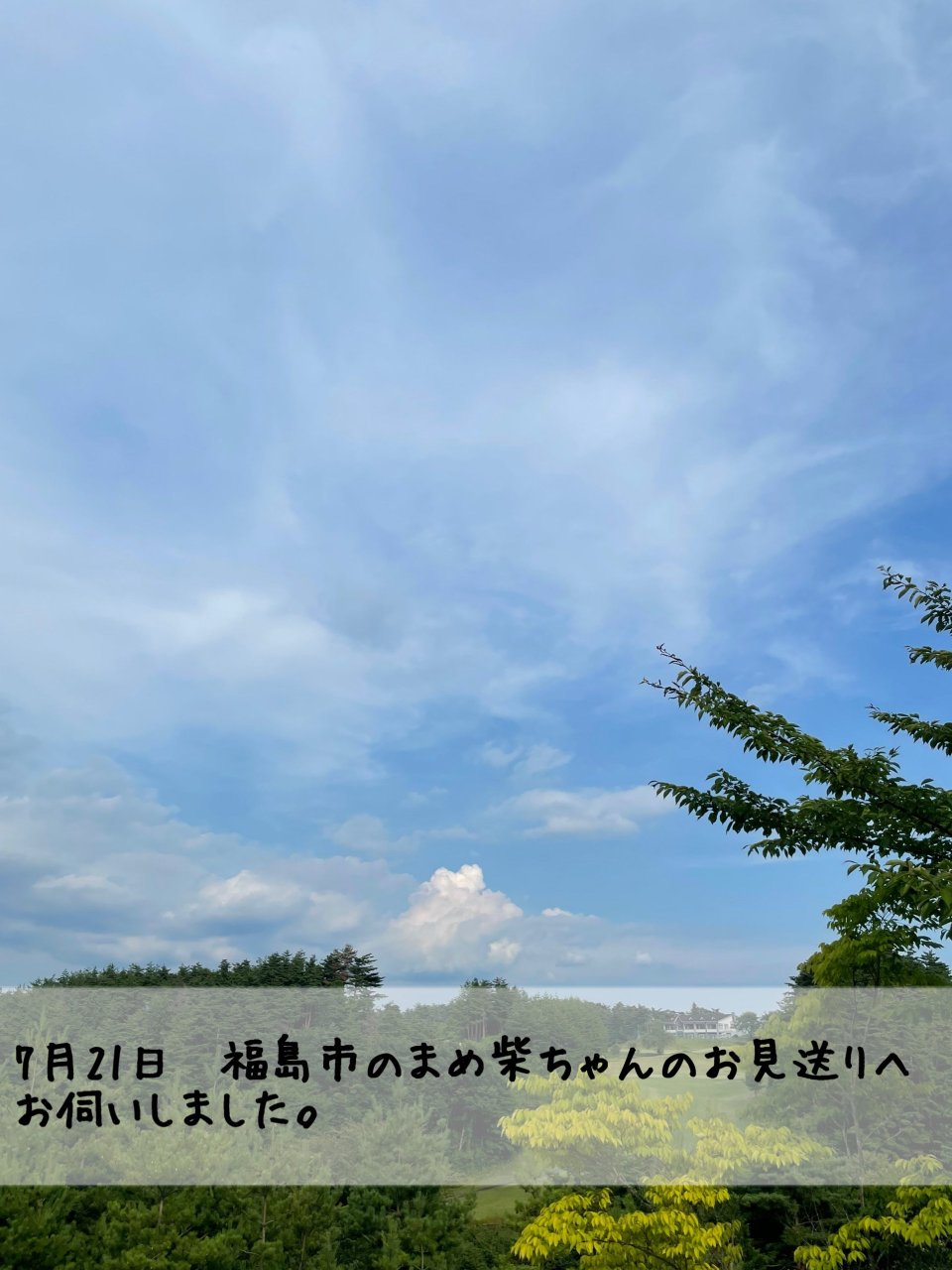 ペット訪問火葬 一縁(いちえん) | 福島市・葬儀・出張・供養