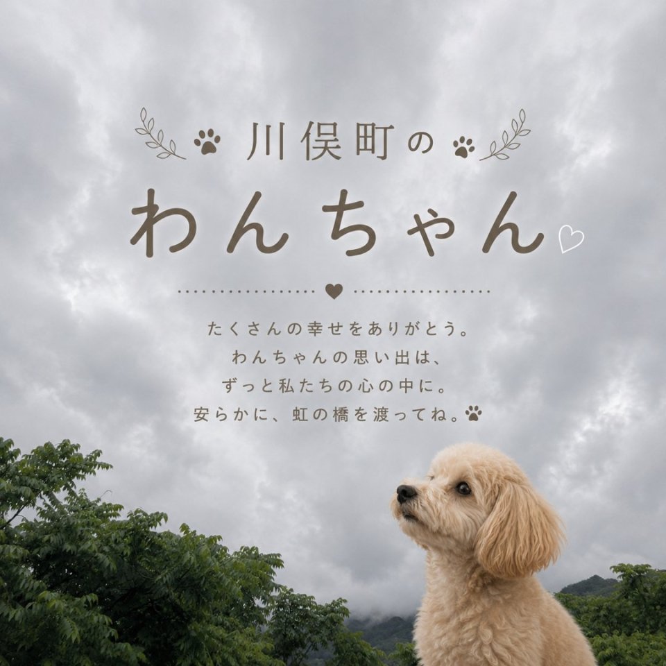 福島ペット訪問火葬 一縁(いちえん) | 葬儀・出張・供養