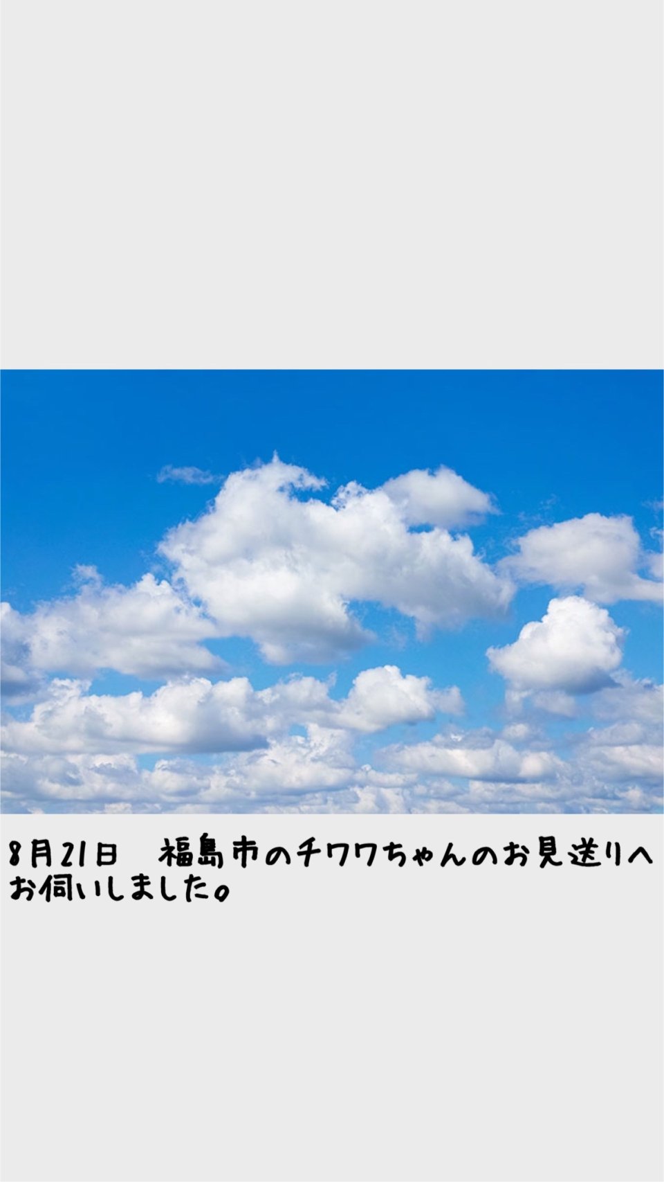 ペット訪問火葬 一縁(いちえん) | 福島市・葬儀・出張・供養
