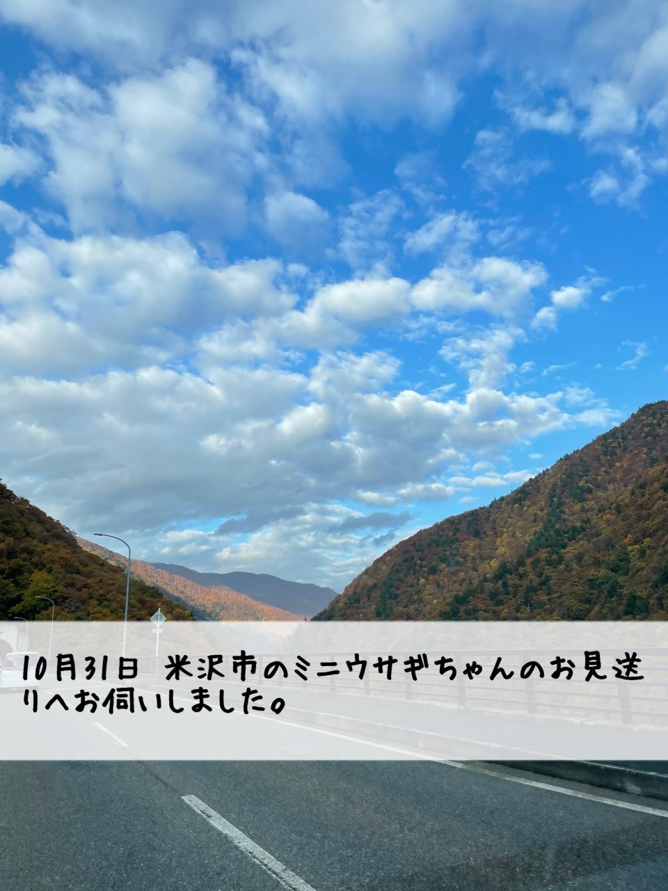 ペット訪問火葬 一縁(いちえん) | 福島市・葬儀・出張・供養