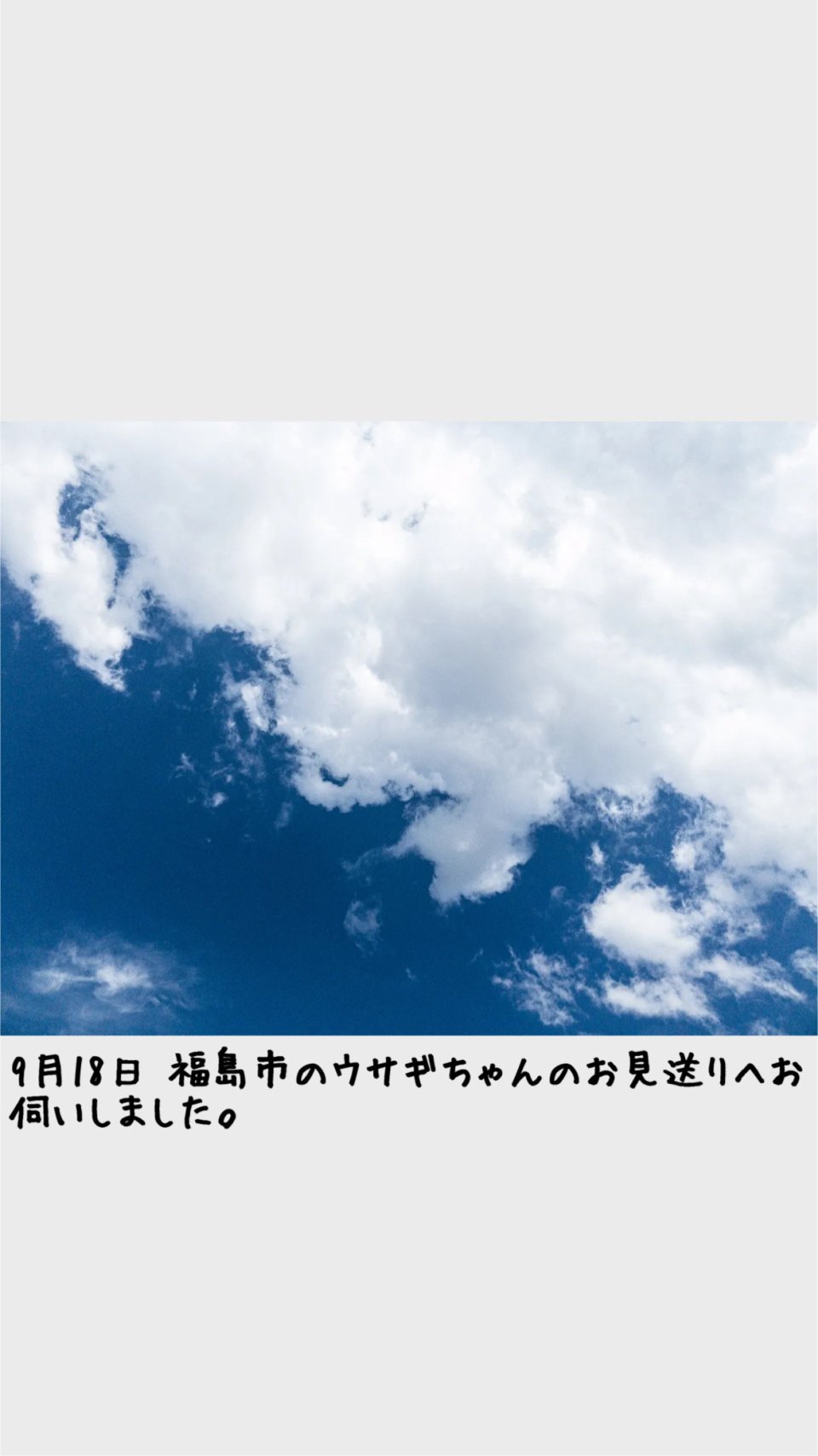 ペット訪問火葬 一縁(いちえん) | 福島市・葬儀・出張・供養
