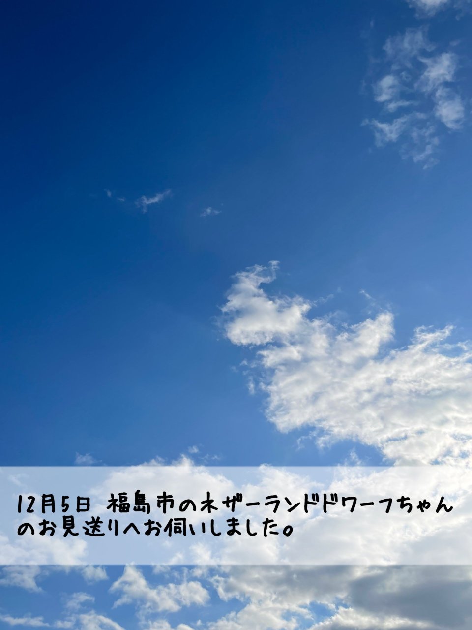 ペット訪問火葬 一縁(いちえん) | 福島市・葬儀・出張・供養