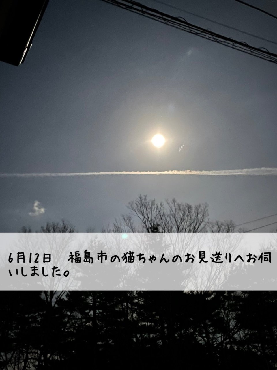 ペット訪問火葬 一縁(いちえん) | 福島市・葬儀・出張・供養