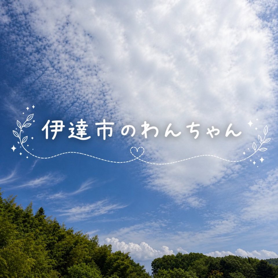 福島ペット訪問火葬 一縁(いちえん) | 葬儀・出張・供養