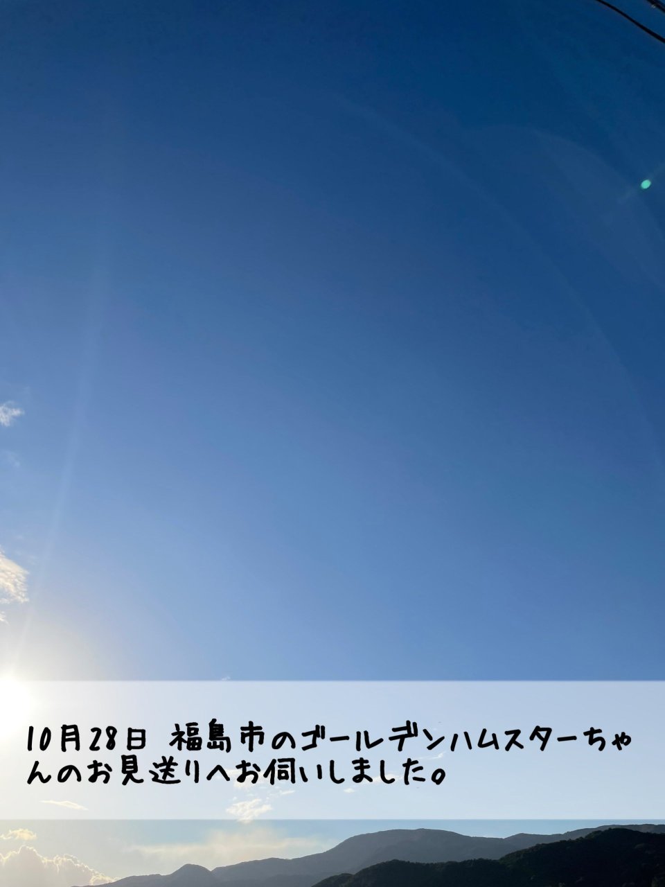 ペット訪問火葬 一縁(いちえん) | 福島市・葬儀・出張・供養