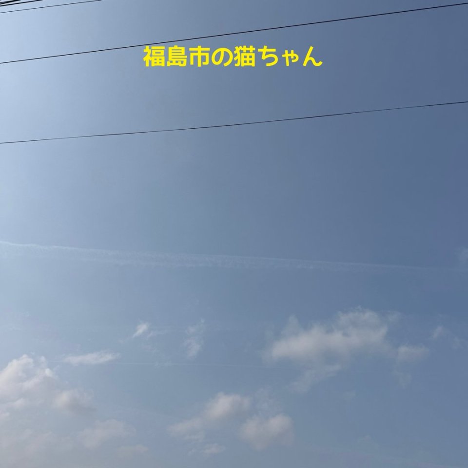 ペット訪問火葬 一縁(いちえん) | 福島市・葬儀・出張・供養