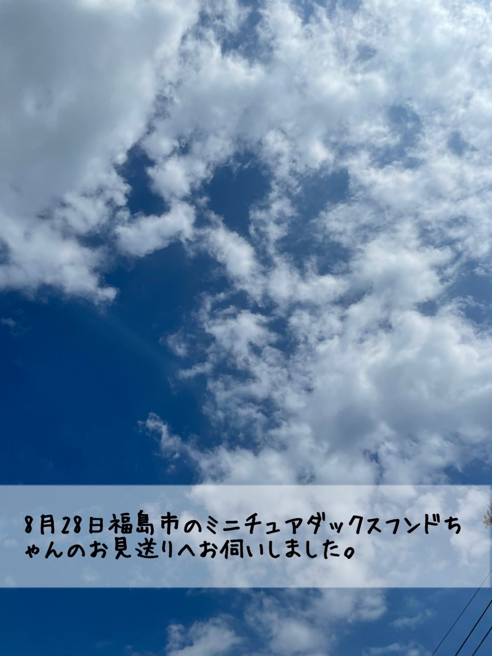 ペット訪問火葬 一縁(いちえん) | 福島市・葬儀・出張・供養