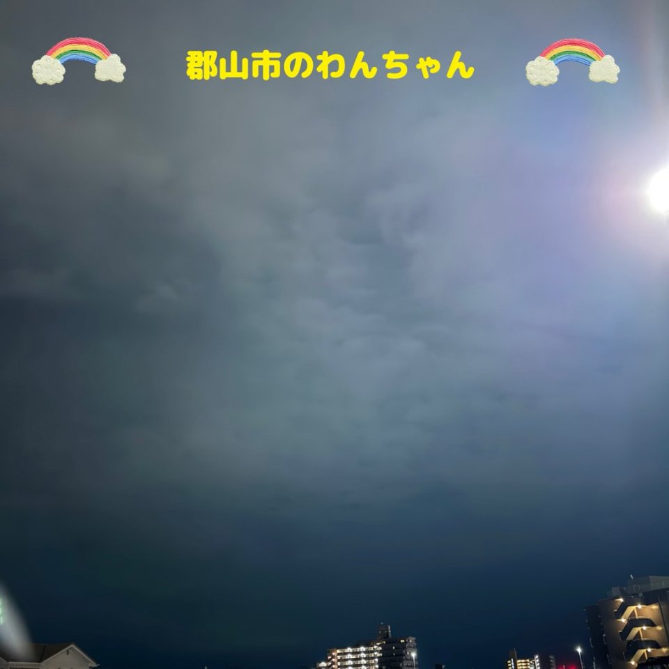 ペット訪問火葬 一縁(いちえん) | 福島市・葬儀・出張・供養
