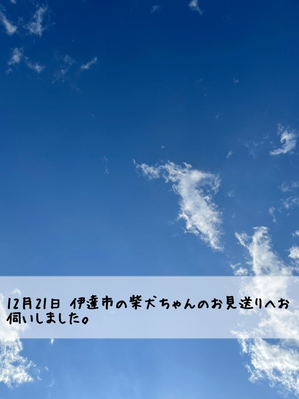 ペット訪問火葬 一縁(いちえん) | 福島市・葬儀・出張・供養