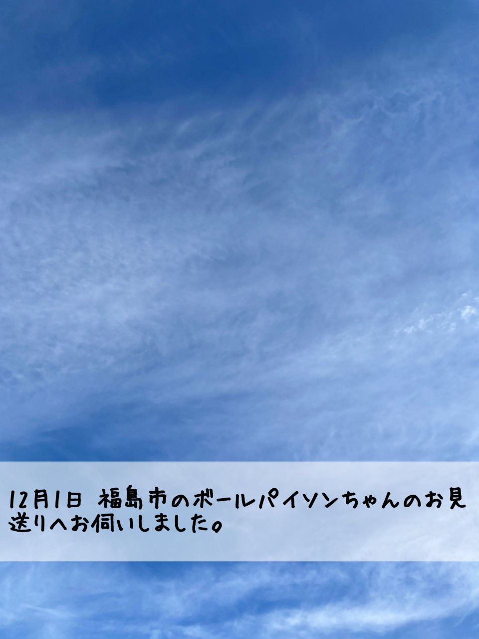 ペット訪問火葬 一縁(いちえん) | 福島市・葬儀・出張・供養