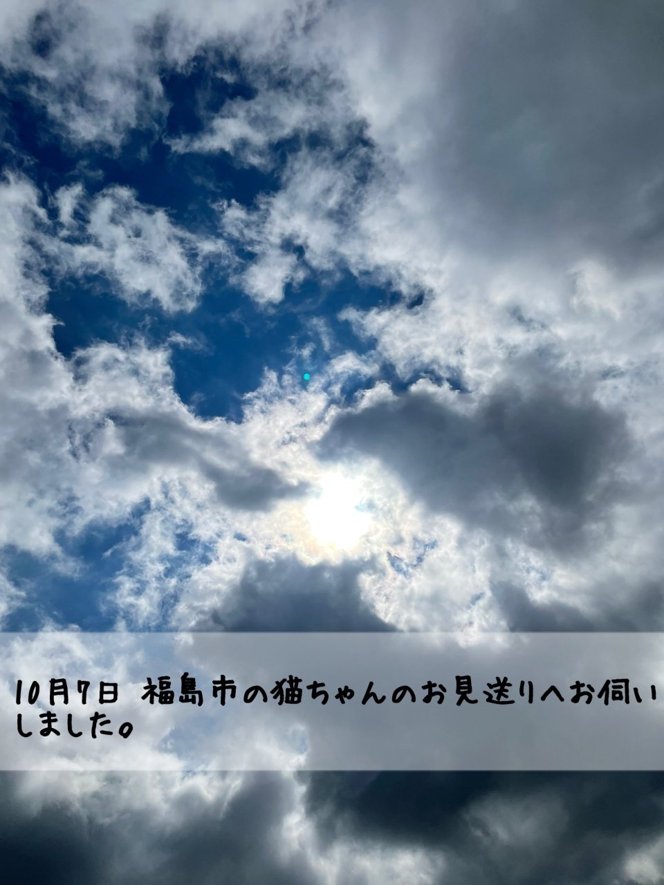 ペット訪問火葬 一縁(いちえん) | 福島市・葬儀・出張・供養